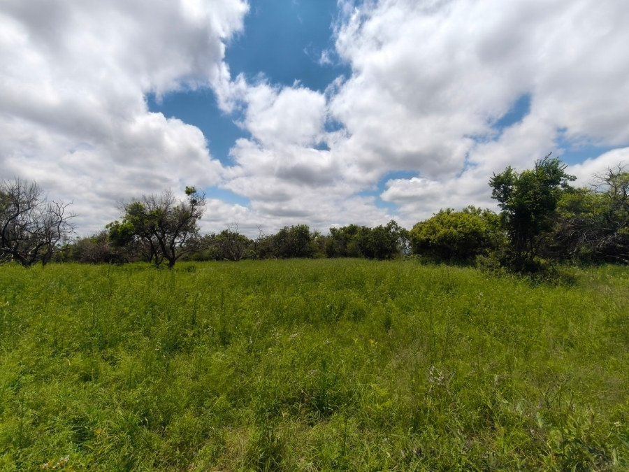 4 Bedroom Property for Sale in Groot Marico North West